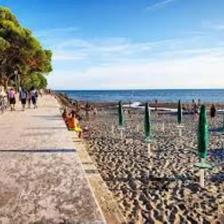 Amazing With Seaview Terrace Grado-Pineta